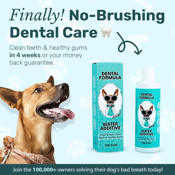 A static 1:1 ad featuring a dog and the dental water additive, focusing on a strong benefit-led headline and a 4-week money-back guarantee.